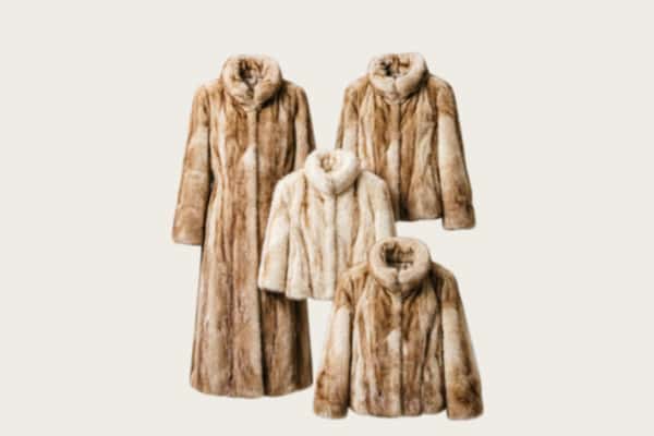 泗阳县回收皮草衣服